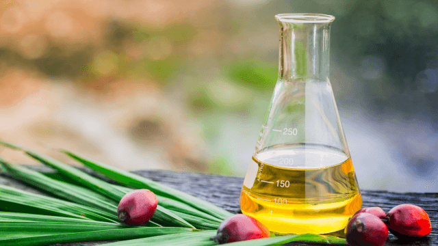 palm oil