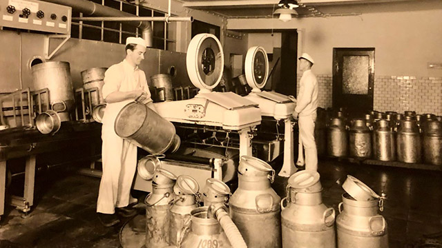 alfalaval-dairy-innovation-tradition